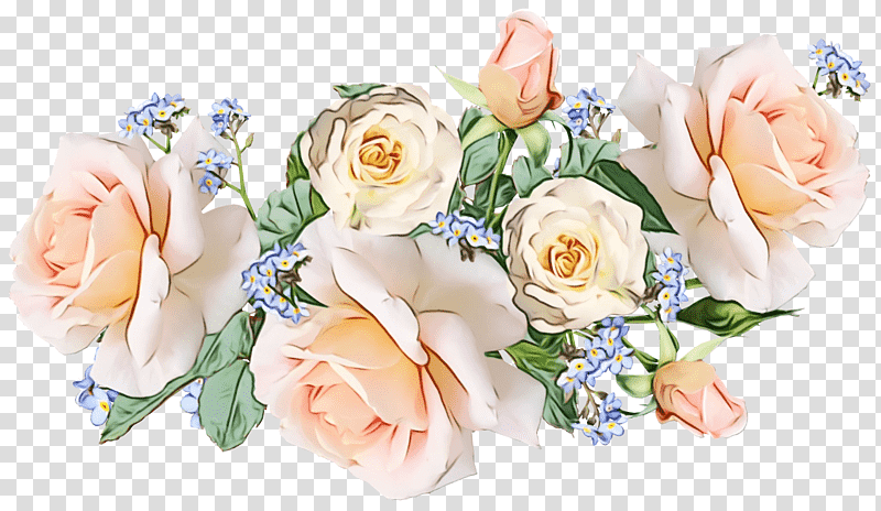 Floral design, Watercolor, Paint, Wet Ink, Garden Roses, Rose Family, Cabbage Rose transparent background PNG clipart