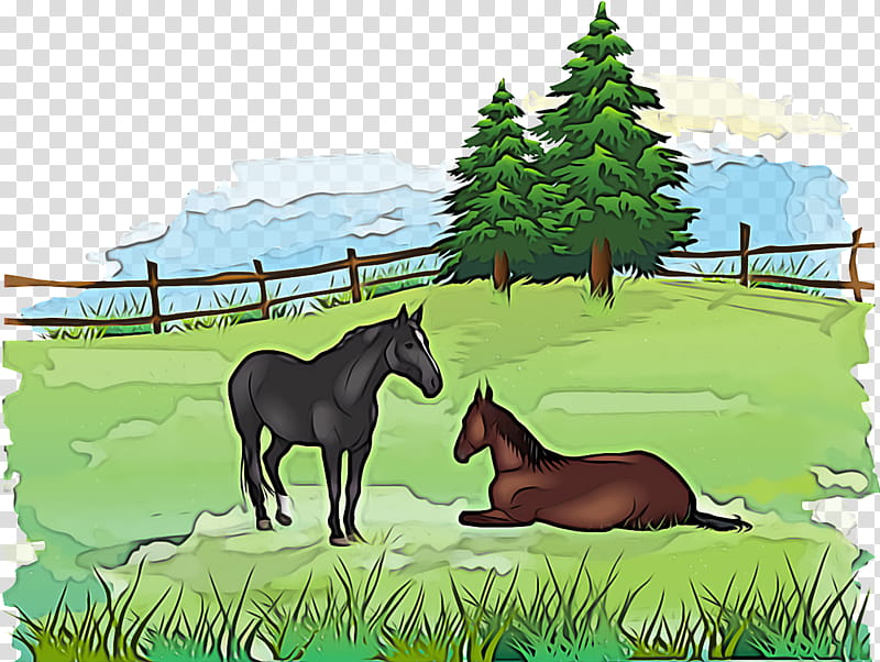 foal mustang stallion ecosystem pasture, Tree, Cartoon, Yonni Meyer, Horse transparent background PNG clipart