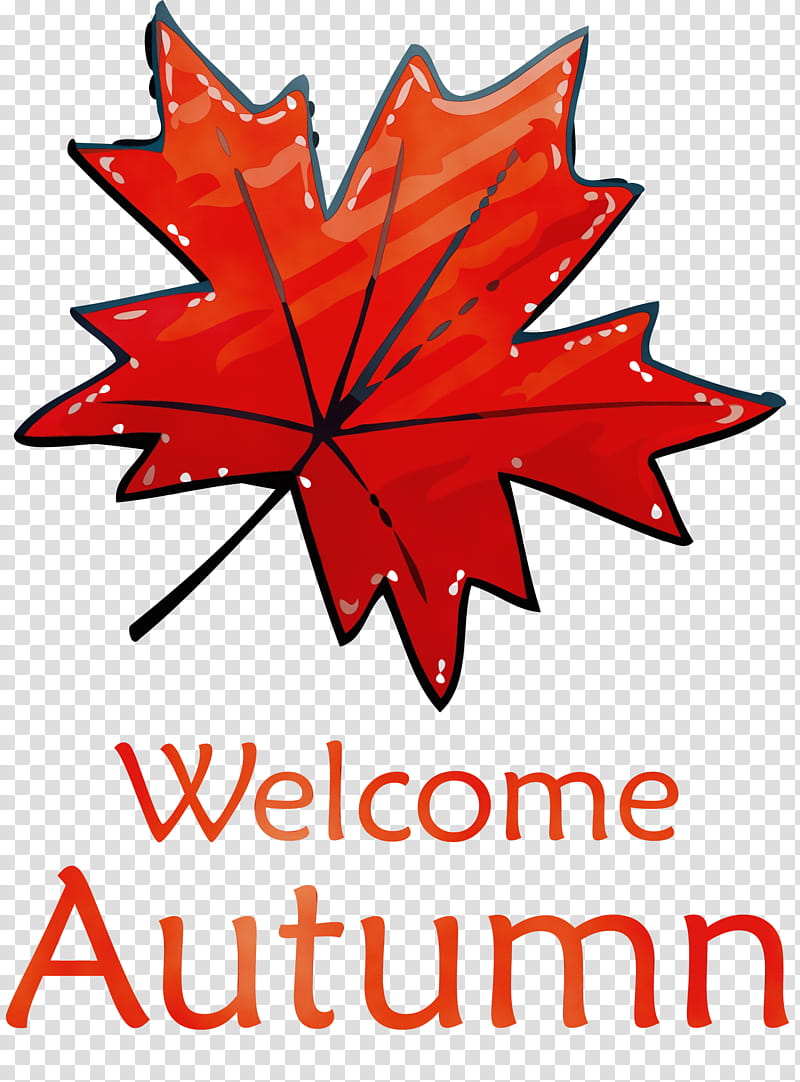 Maple leaf, Welcome Autumn, Watercolor, Paint, Wet Ink, Hot Tub, Tree, Vietnamese Language transparent background PNG clipart