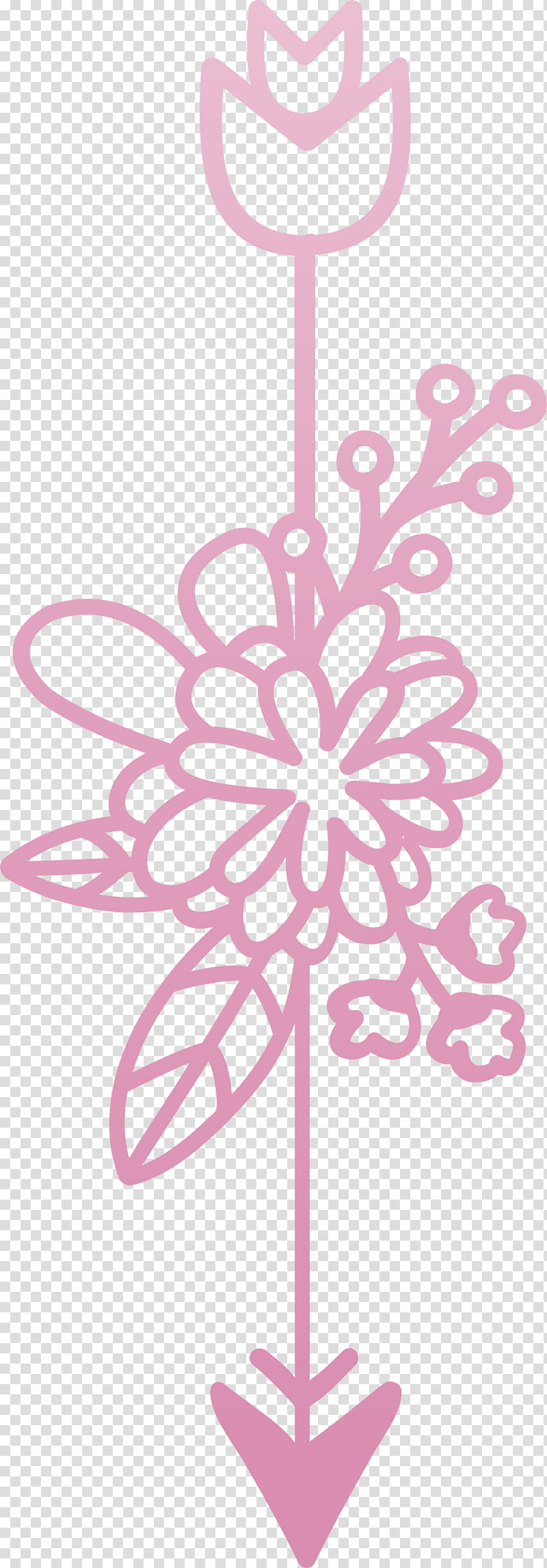 boho arrow flower arrow, Pink, Plant transparent background PNG clipart