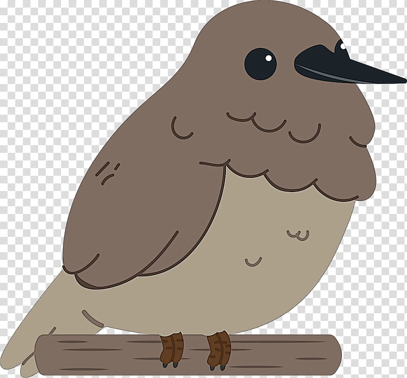 Feather, Bird, Cute Bird, Cartoon Bird, Owls, Birds, Beak, Bald Eagle transparent background PNG clipart