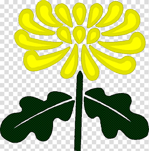 Chrysanthemum chrysanths, Floral Design, Flower, Cut Flowers, Plant Stem, Box Emoji, Transvaal Daisy, Plants transparent background PNG clipart