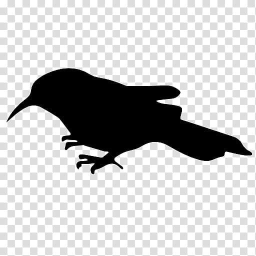 bird raven beak silhouette crow, California Sea Lion, Dolphin, Logo transparent background PNG clipart