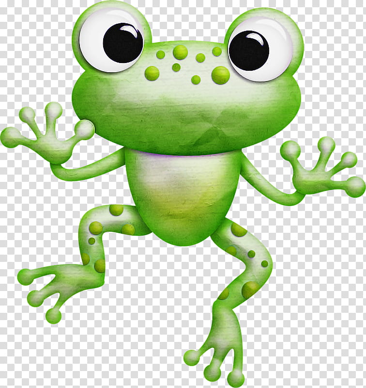 frog green true frog tree frog hyla, Shrub Frog, Cartoon, Agalychnis, Toad, Gray Treefrog, Animation, Bullfrog transparent background PNG clipart