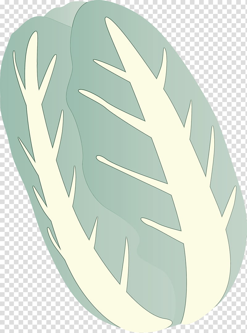 Feather, Nappa Cabbage, Watercolor, Paint, Wet Ink, Leaf, Hand transparent background PNG clipart