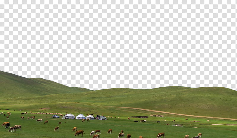steppe grassland ecoregion hill station polder, Ranchm transparent background PNG clipart