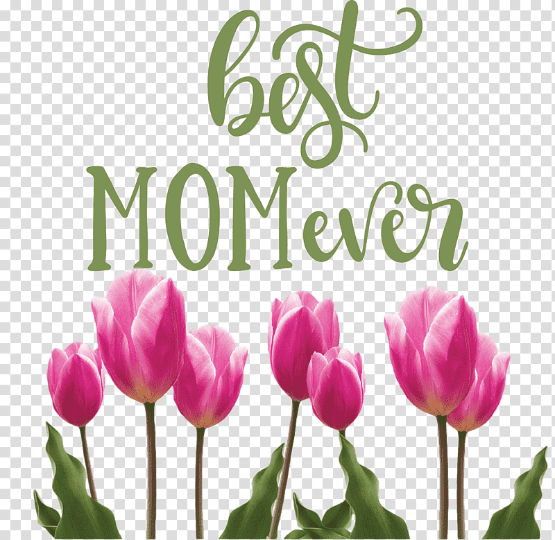 Mothers Day best mom ever Mothers Day Quote, Sticker, Wall Decal, Watercolor Painting, Drawing transparent background PNG clipart