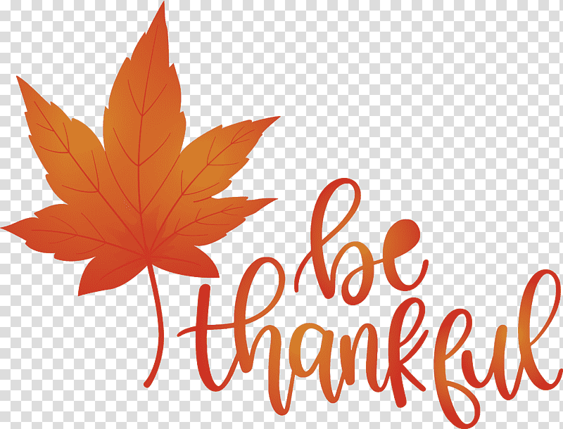 Thanksgiving Be Thankful Give Thanks, Leaf, Maple Leaf, Logo, Flower, Tree, Meter transparent background PNG clipart