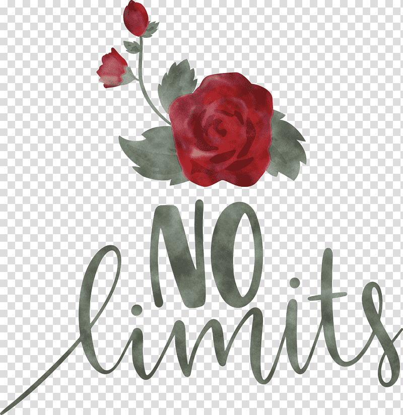 No Limits Dream Future, Hope, Floral Design, Garden Roses, Cut Flowers, Greeting Card, Valentines Day transparent background PNG clipart