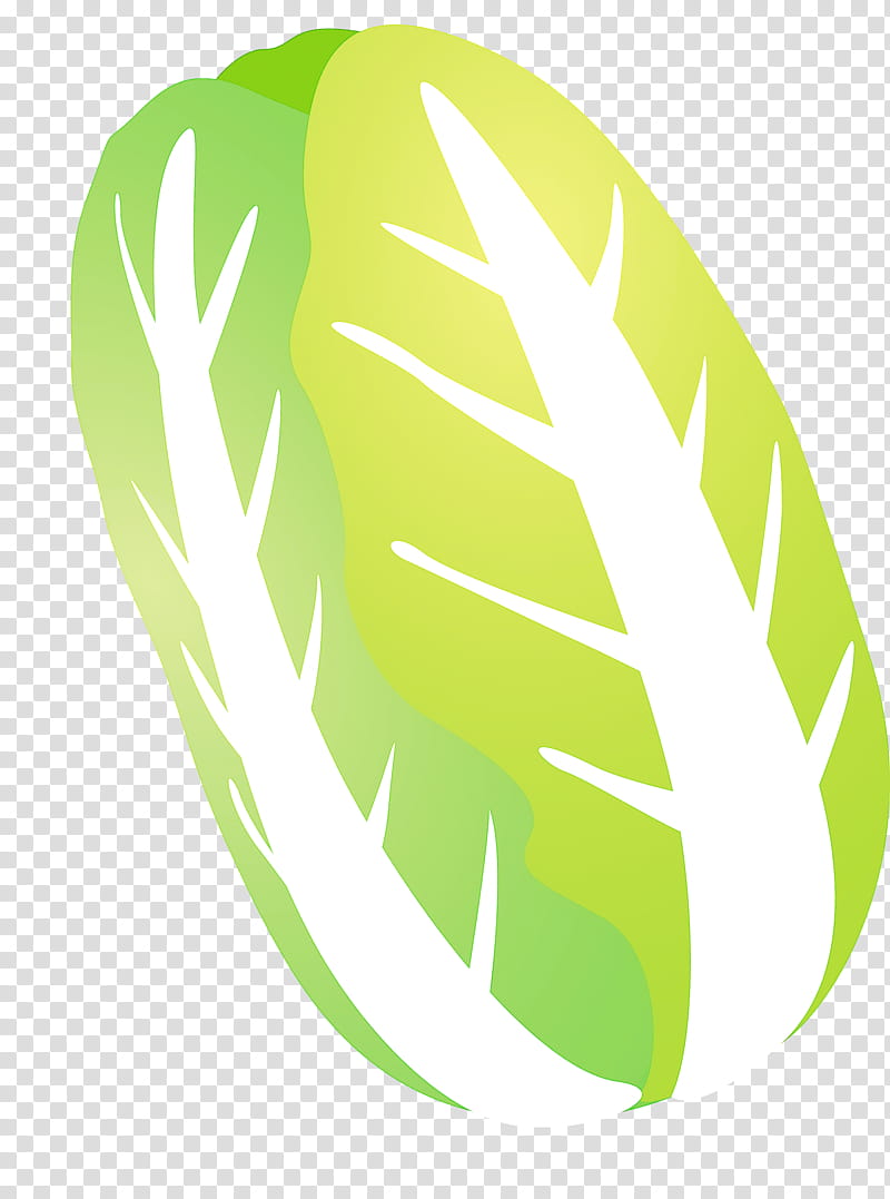 nappa cabbage, Green, Leaf, Logo, Plant, Monstera Deliciosa transparent background PNG clipart
