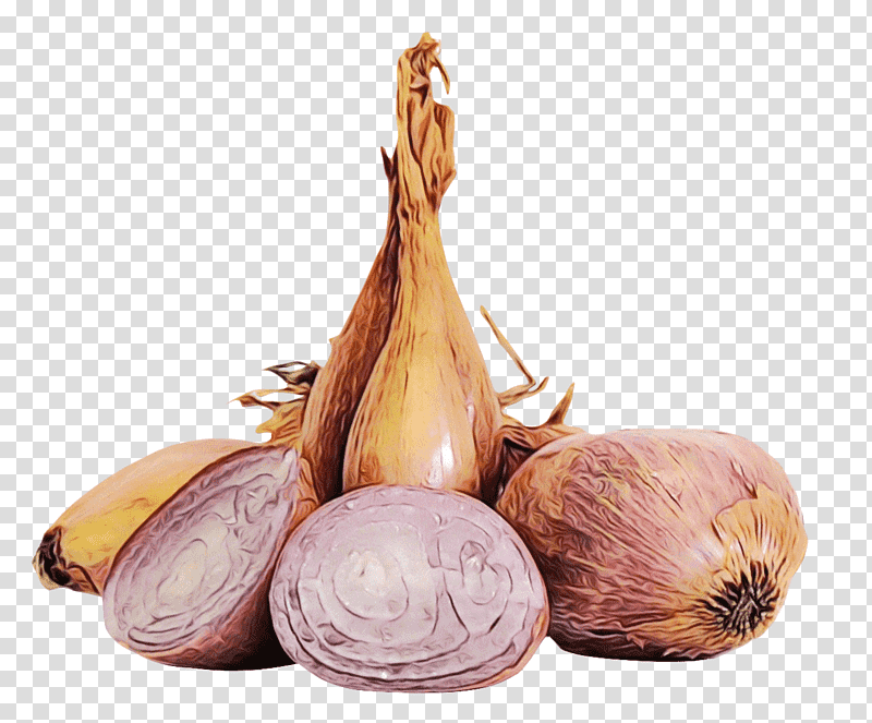 french onion soup blanquette de veau coq au vin vegetable ingredient, Watercolor, Paint, Wet Ink, Dipping Sauce, Beurre Blanc, Garlic transparent background PNG clipart