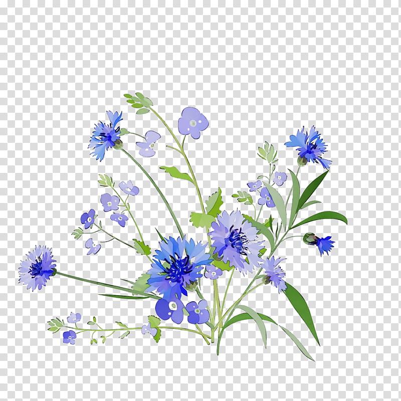 Lavender, Spring
, Watercolor, Paint, Wet Ink, Flower, Alpine Forgetmenot, Plant transparent background PNG clipart
