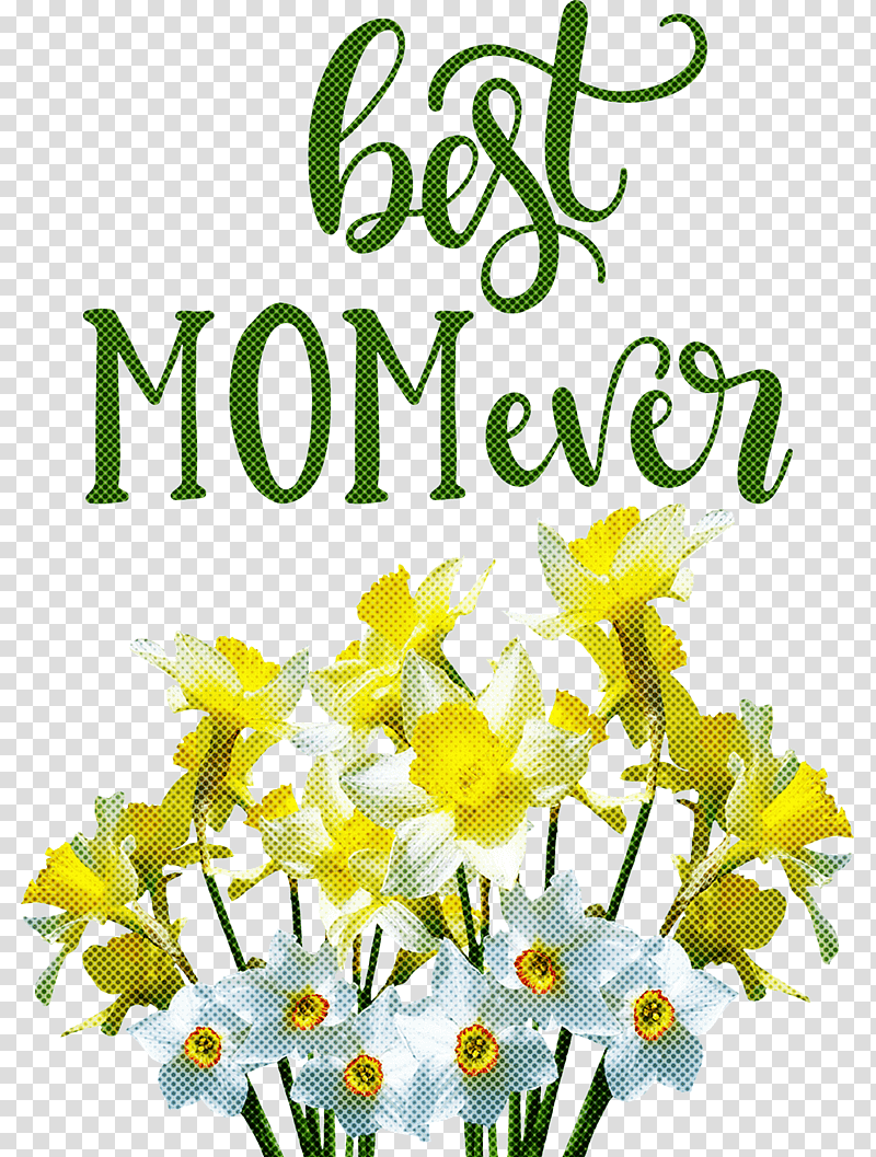 Mothers Day best mom ever Mothers Day Quote, Wild Daffodil, Plant Stem, Ornamental Plant, Amaryllidaceae, Flower, Bulb transparent background PNG clipart