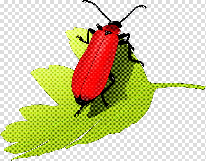 pest control insect control blattodea pest german cockroach, Pesticide, Beetles, Pyrethrin, Green, Palm Commandments, Poison, Aerial Application transparent background PNG clipart