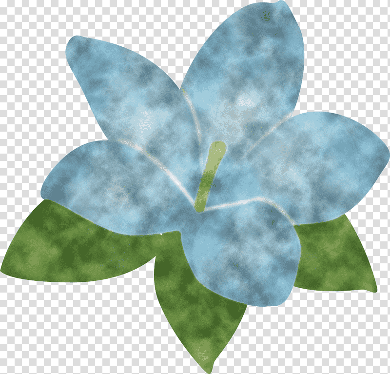 jasmine jasmine flower, Petal, Flora, Teal transparent background PNG clipart