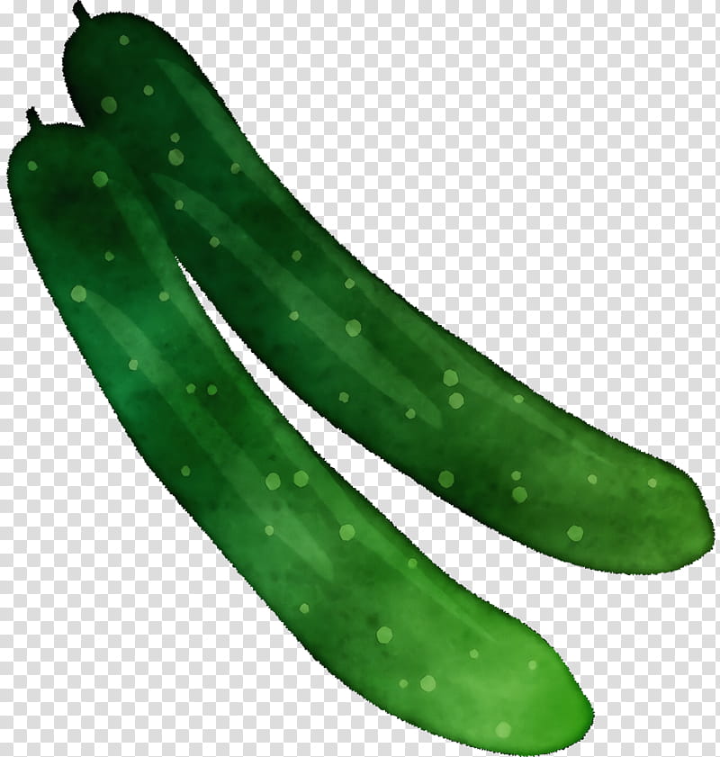 cucumber fermented cucumbers, Watercolor, Paint, Wet Ink transparent background PNG clipart