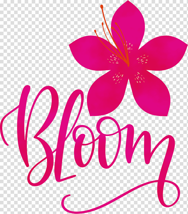 Garden roses, Bloom, Spring
, Watercolor, Paint, Wet Ink, Shower Gel transparent background PNG clipart