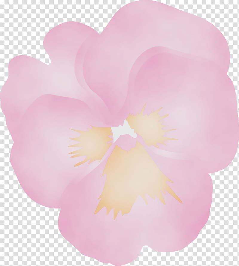 petal pink flower plant moth orchid, Pansy, Spring Flower, Watercolor, Paint, Wet Ink, Magenta, Impatiens transparent background PNG clipart