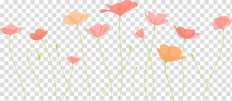 flower plant stem plant petal pedicel, Poppy Flower, Watercolor, Paint, Wet Ink, Coquelicot, Wildflower, Tulip transparent background PNG clipart