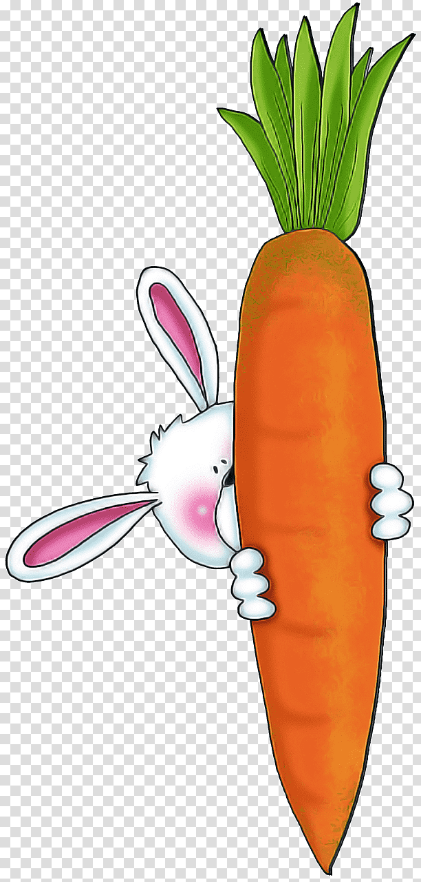 Watermelon, yellow and white rabbit cartoon character, Vegetarian Cuisine, Carrot, Radish, Vegetable, Root Vegetables, Daikon transparent background PNG clipart