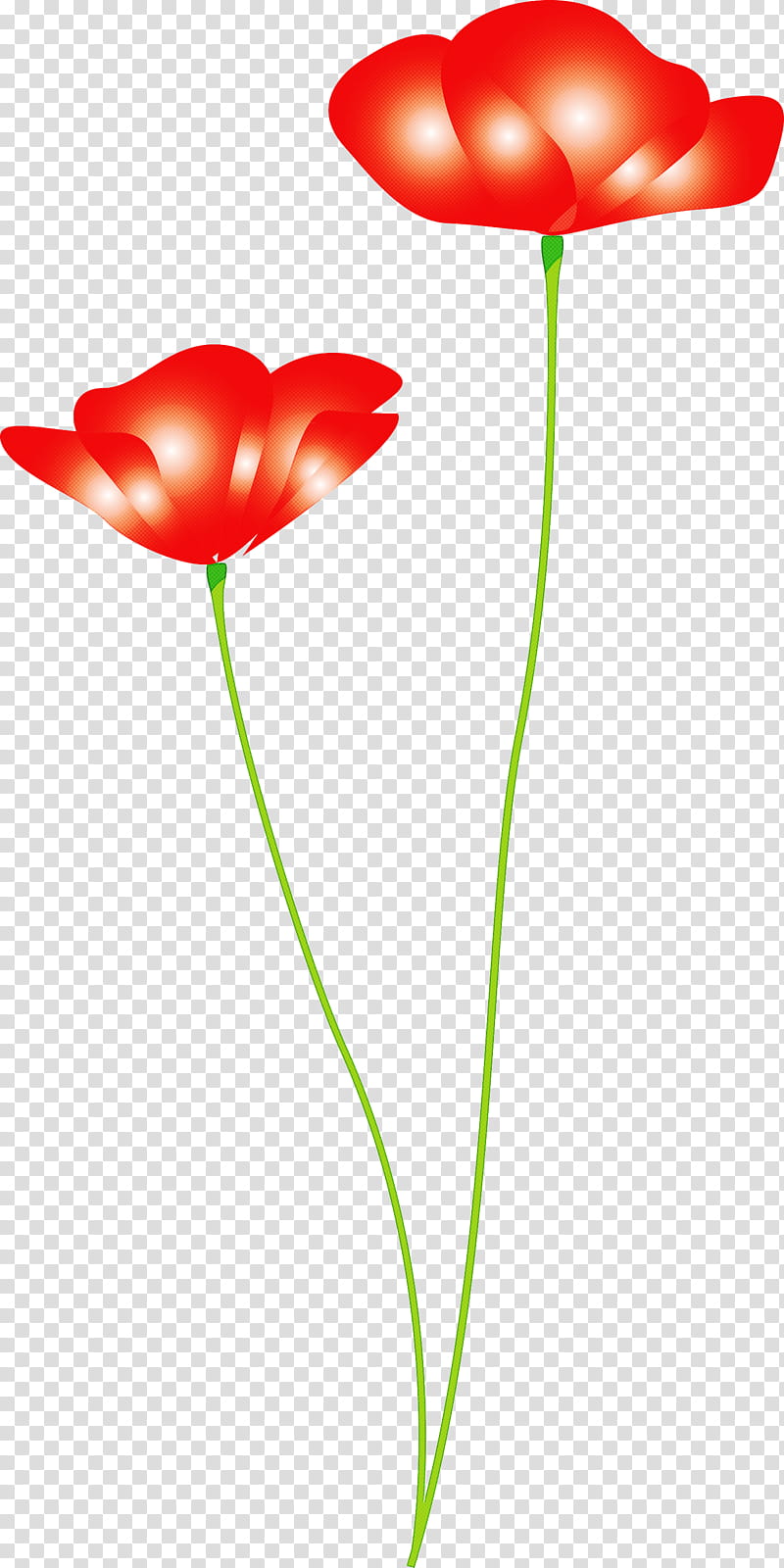 poppy flower, Red, Tulip, Pedicel, Plant, Plant Stem, Coquelicot, Anthurium transparent background PNG clipart