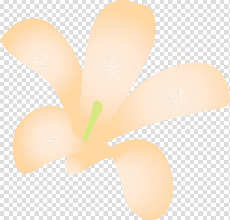 jasmine jasmine flower, Lighting, Closeup transparent background PNG clipart