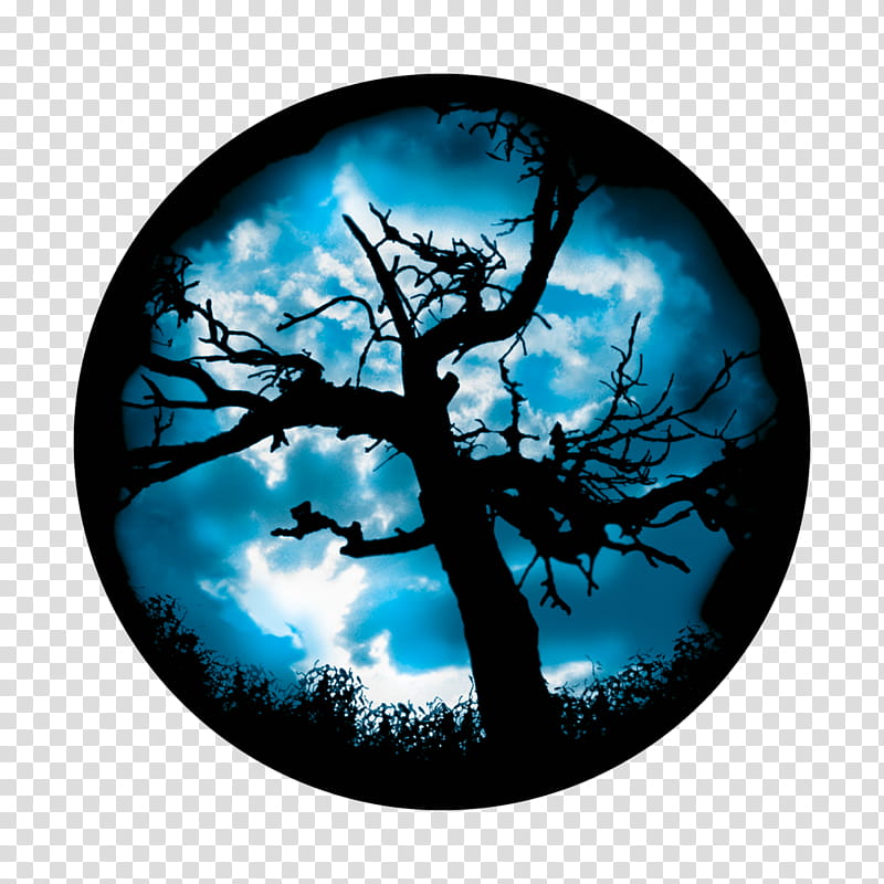 Full moon, Branch, Sky, Tree, Aqua, Silhouette, Plant, Atmosphere transparent background PNG clipart