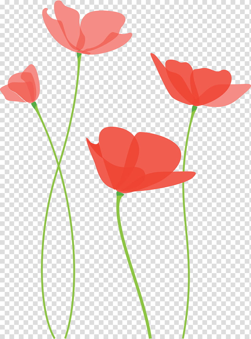 poppy flower, Coquelicot, Plant Stem, Tulip, Pedicel, Corn Poppy, Petal, Poppy Family transparent background PNG clipart