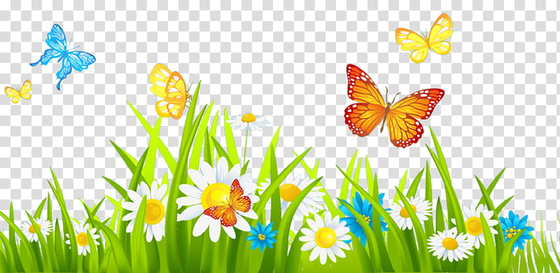 butterfly natural landscape meadow spring grass, Spring
, Plant, Wildflower, Insect, Moths And Butterflies, Narcissus, Pollinator transparent background PNG clipart