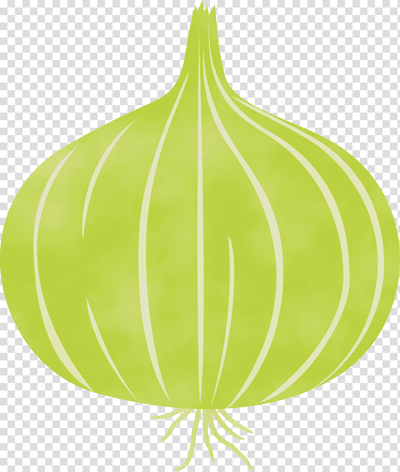 leaf green tree fruit science, Onion, Watercolor, Paint, Wet Ink, Biology, Plant Structure transparent background PNG clipart