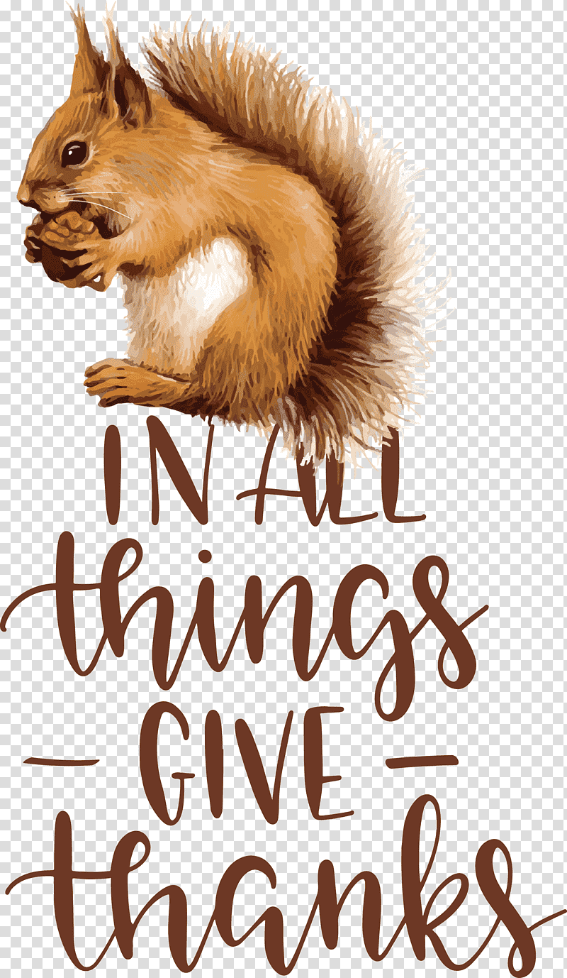 Give Thanks Thanksgiving, Chipmunks, Squirrels, Whiskers, Meter, Furm transparent background PNG clipart