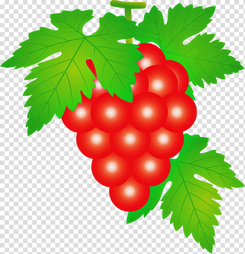 grape grapes fruit, Leaf, Grape Leaves, Seedless Fruit, Plant, Berry, Currant, Flower transparent background PNG clipart