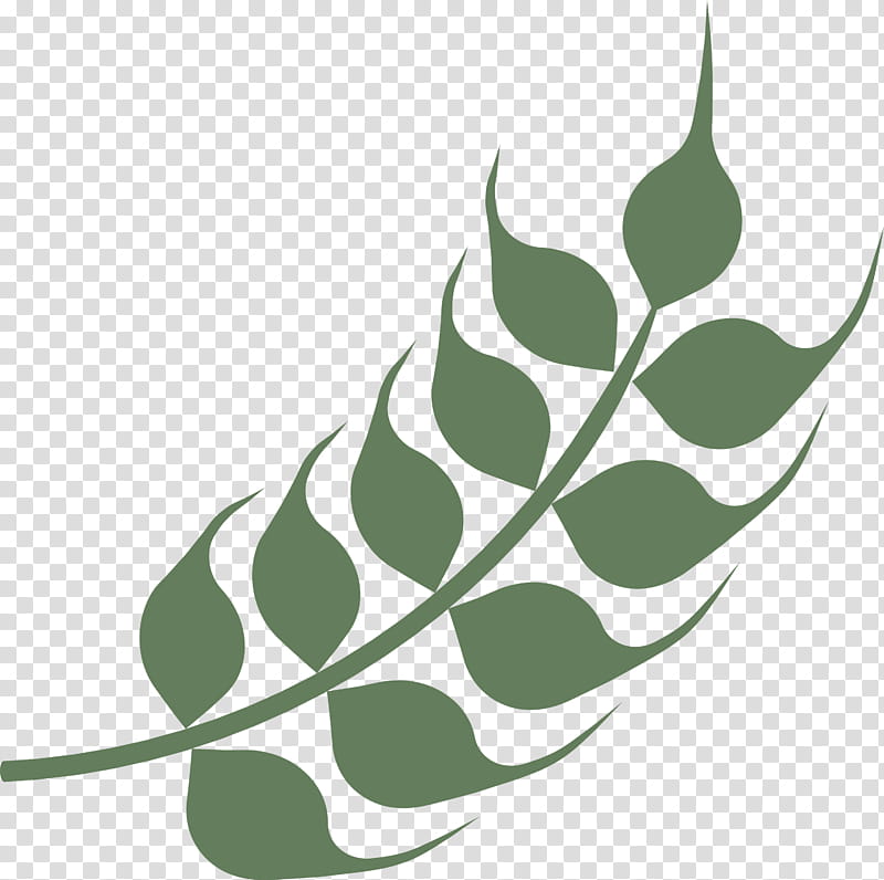 Green wheat transparent background PNG cliparts free download