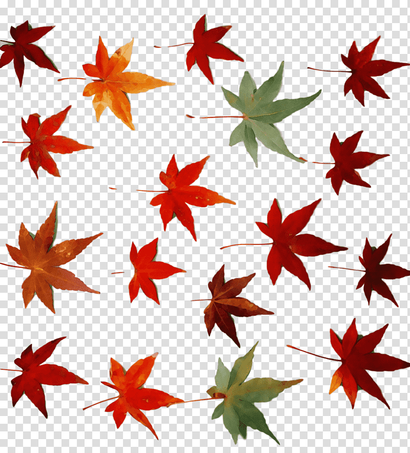leaf flower maple leaf / m line pattern, Watercolor, Paint, Wet Ink, Maple Leaf M, Mtree, Plants transparent background PNG clipart