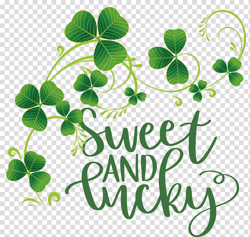 Sweet And Lucky St Patricks Day, Fourleaf Clover, Shamrock, Saint Patricks Day, Royaltyfree, Cartoon transparent background PNG clipart