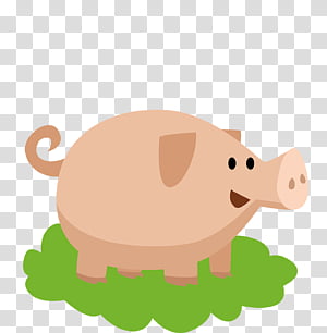 snout tail biology science transparent background PNG clipart thumbnail