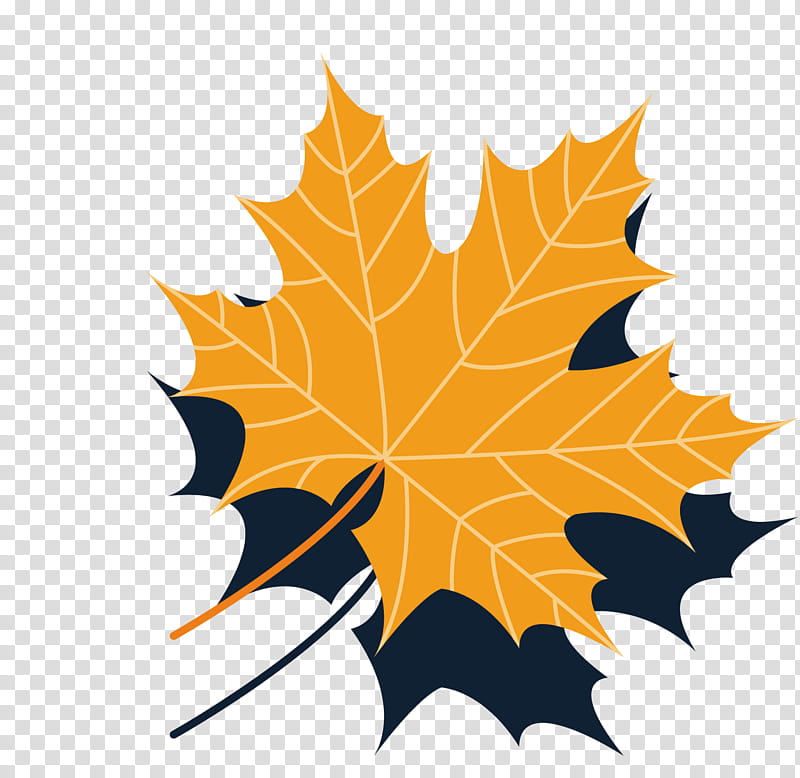 Maple leaf, Tree, Black Maple, Woody Plant, Plane, Deciduous, Autumn, Planetree Family transparent background PNG clipart