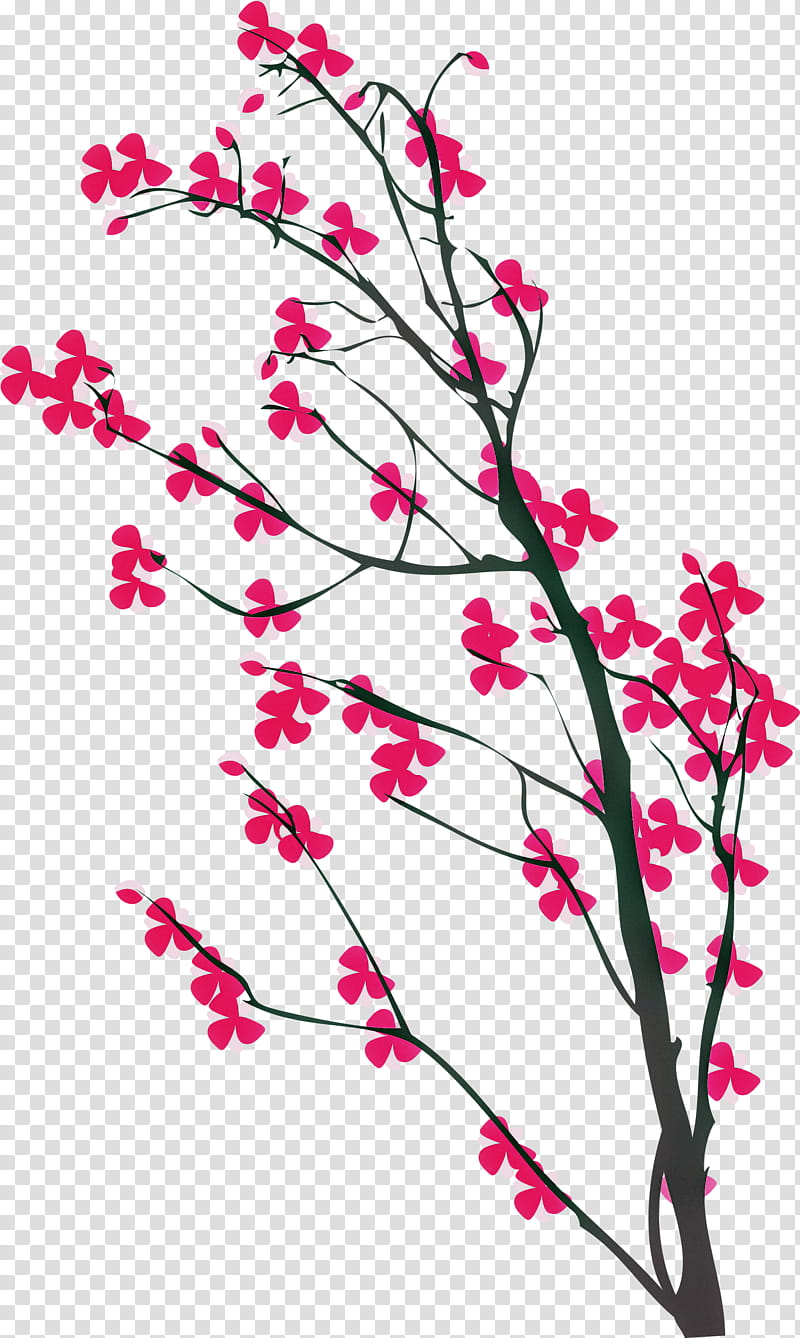 cherry flower, Branch, Pink, Plant, Twig, Pedicel, Blossom, Tree transparent background PNG clipart