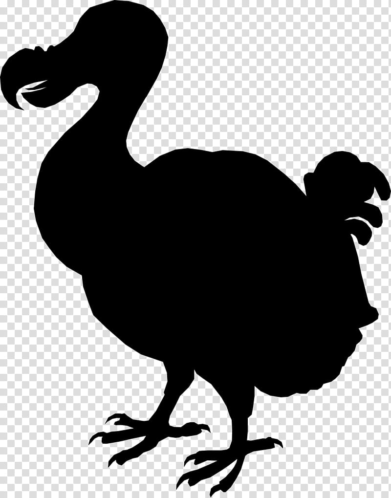 Dodo Bird, Chicken, Beak, Silhouette, Flightless Bird, Chicken As Food, Duck, Pigeons And Doves transparent background PNG clipart
