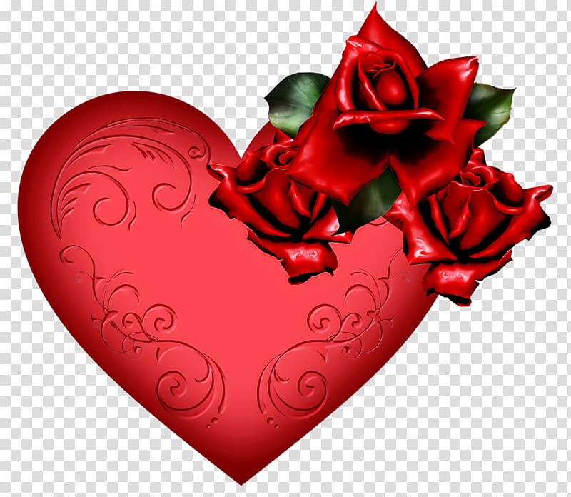 Flower heart valentines day, Red, Love, Rose, Garden Roses, Plant ...