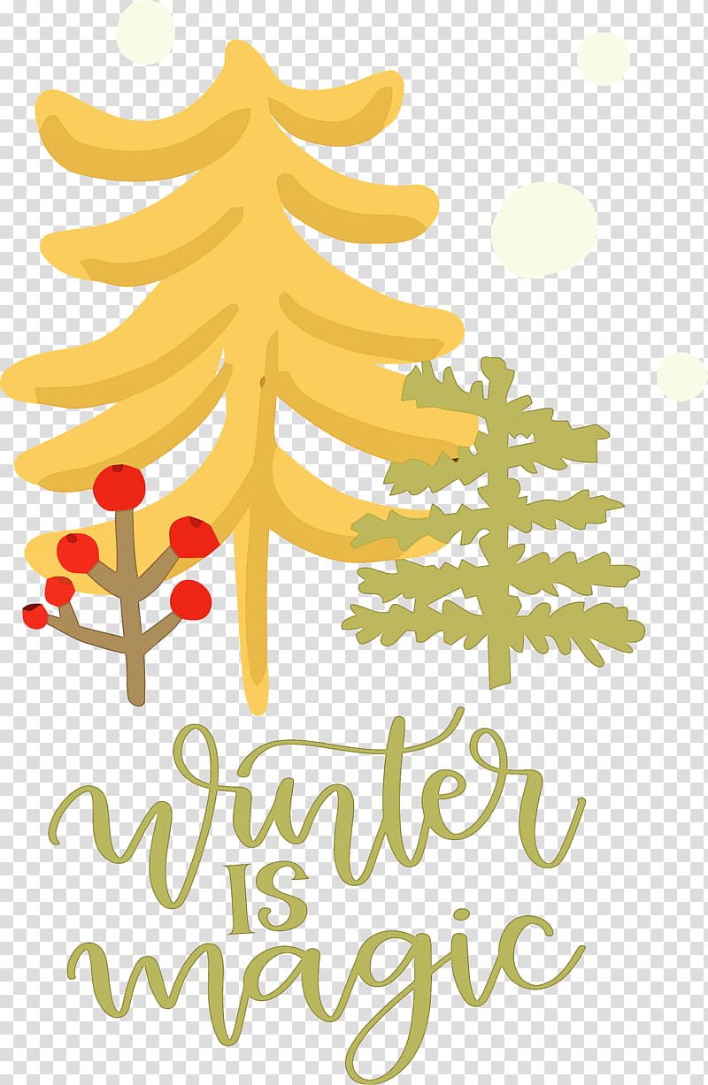 Winter Is Magic Hello Winter Winter, Winter
, Birds, Parrots, Scarlet Macaw, Blueandyellow Macaw, Budgerigar transparent background PNG clipart