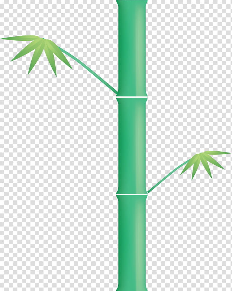 bamboo leaf, Green, Plant Stem, Tree, Hemp Family transparent background PNG clipart