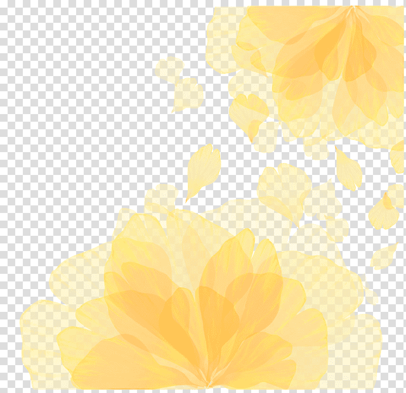 flower petal leaf yellow sunlight, Watercolor, Paint, Wet Ink, M, Computer, Plants transparent background PNG clipart