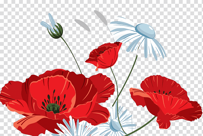 Floral design, Plant Stem, Coquelicot, Petal, Flower, Poppy Family, Plants transparent background PNG clipart