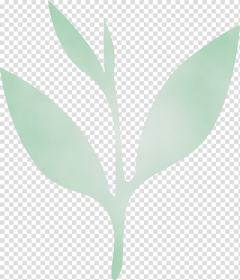 leaf green plant flower tree, Tea Leaves, Spring
, Watercolor, Paint, Wet Ink, Branch, Olive transparent background PNG clipart