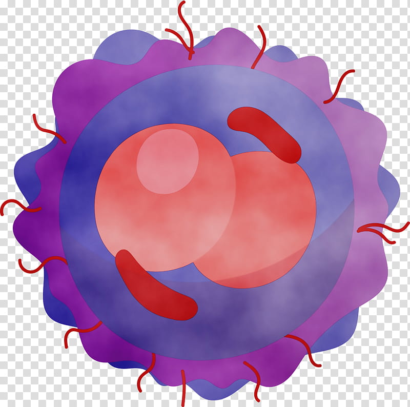 pink circle petal magenta, Coronavirus, COVID, Watercolor, Paint, Wet Ink transparent background PNG clipart