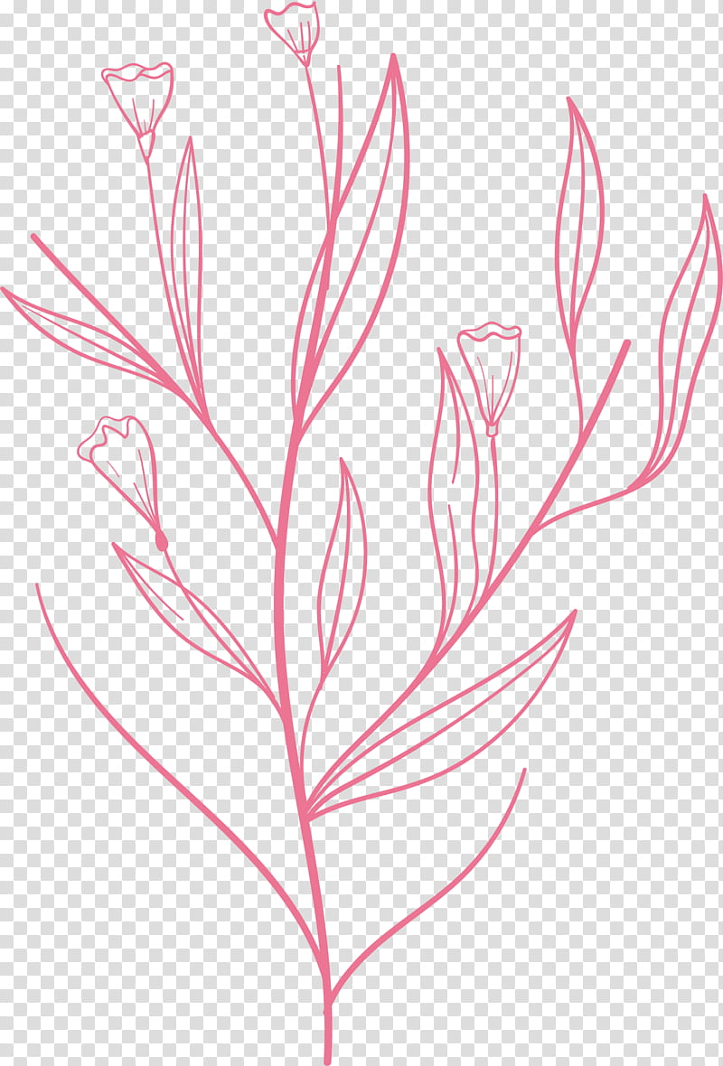 simple leaf simple leaf drawing simple leaf outline, Floral Design, Plant Stem, Line Art, Twig, Pink M, Flower, Plants transparent background PNG clipart