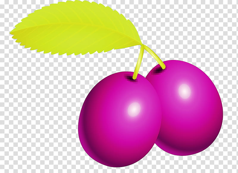 prune fruit, Violet, Purple, Pink, Leaf, Plant, Tree, Magenta transparent background PNG clipart