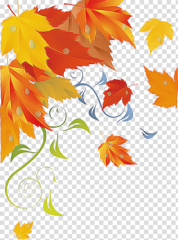 Maple leaf, Pro Port Canopies Ltd, Plant Stem, Red Maple, Deciduous, Branch, Sugar Maple, Acer Nigrum transparent background PNG clipart