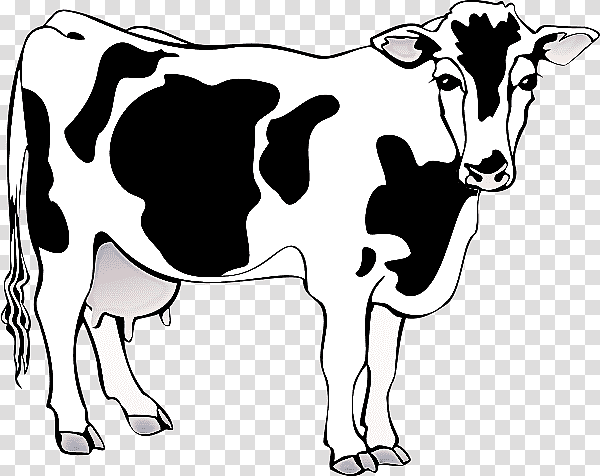 dairy cattle murrah buffalo dairy dairy farming milk, Heifer, Breed, Computer, Sound Effect transparent background PNG clipart